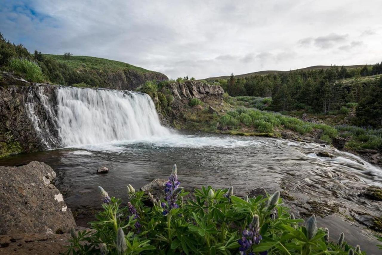 Hvammsvik Nature Resort Kjosahreppur Екстериор снимка