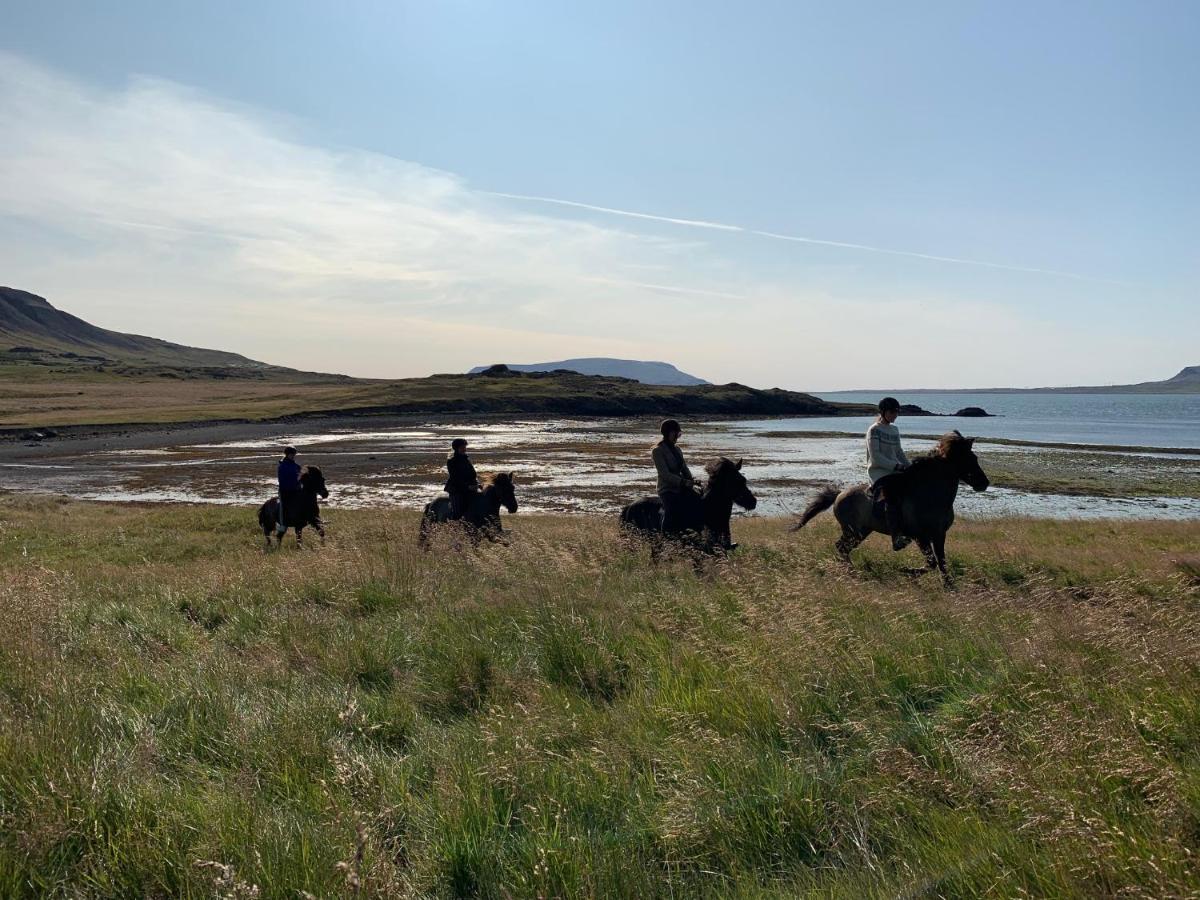 Hvammsvik Nature Resort Kjosahreppur Екстериор снимка